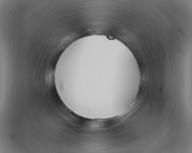 X0000113360094200910061049