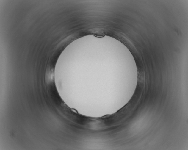 X0000113360095200910061049