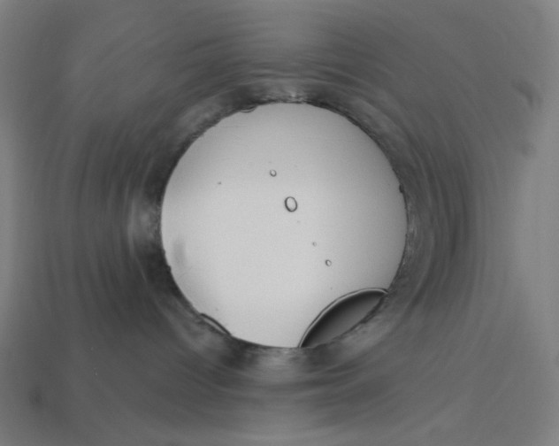 X0000113360096200910061049