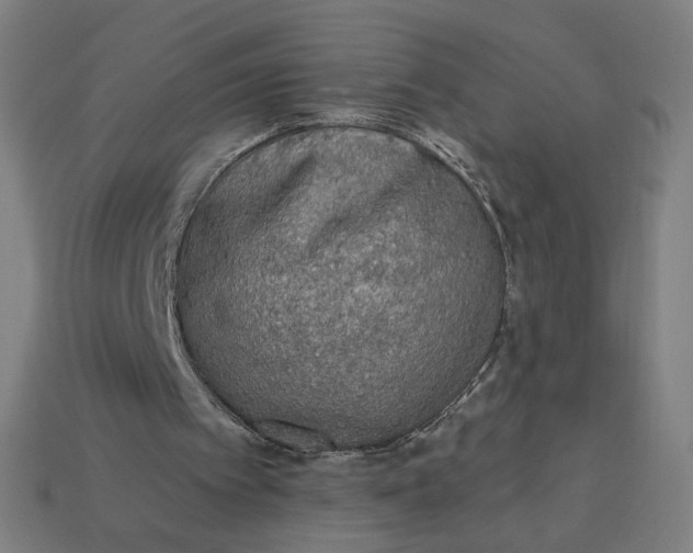 X0000113360097200910061048