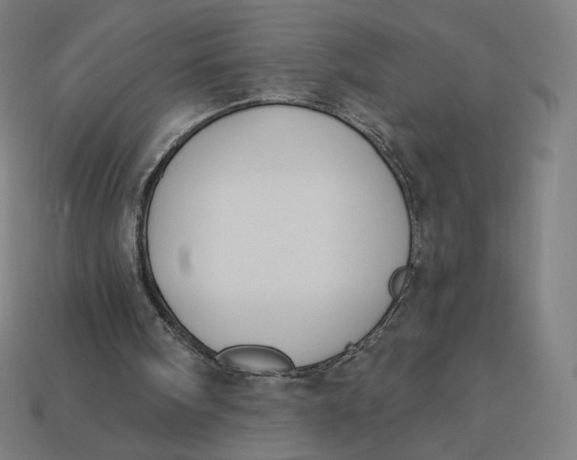 X0000113360098200910061048