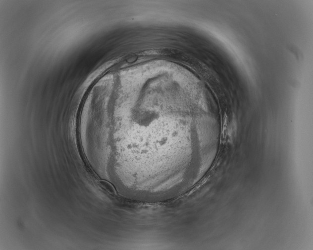 X0000113360099200910061048