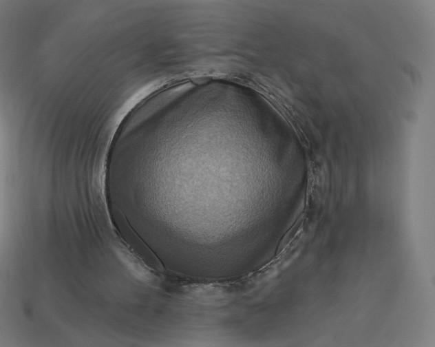 X0000113360100200910061048