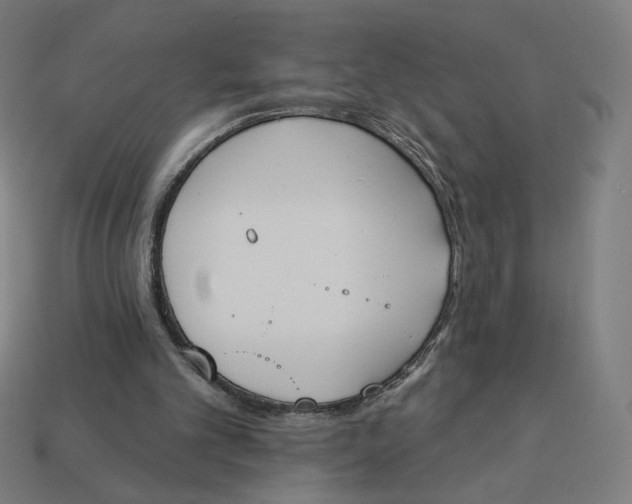 X0000113360101200910061048