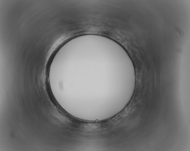 X0000113360102200910061048