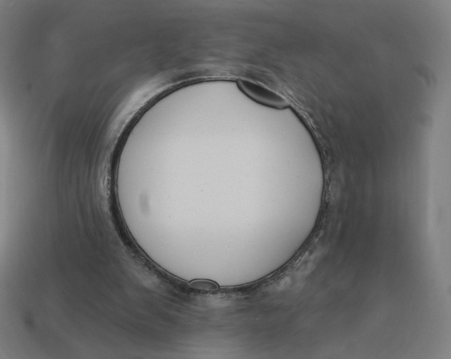 X0000113360103200910061048