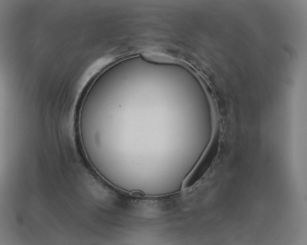 X0000113360104200910061048