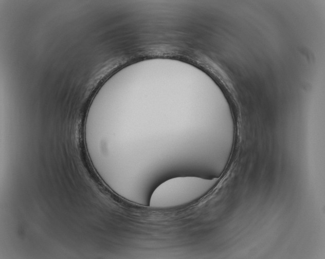 X0000113360105200910061048