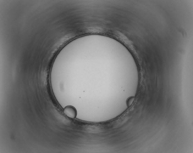 X0000113360106200910061048