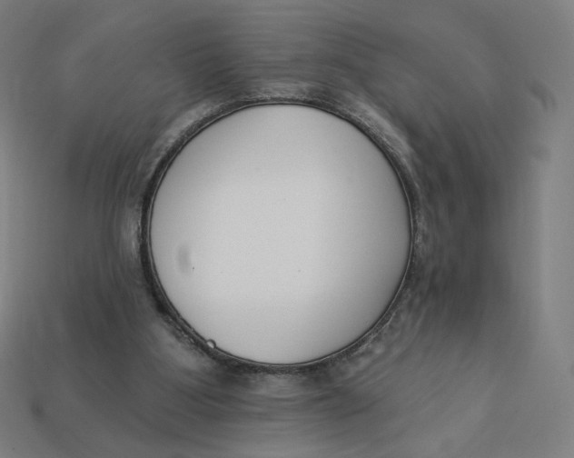 X0000113360107200910061048