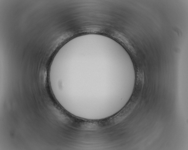 X0000113360110200910061048