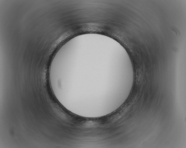 X0000113360111200910061048