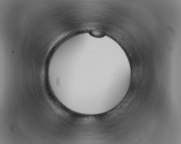 X0000113360112200910061048