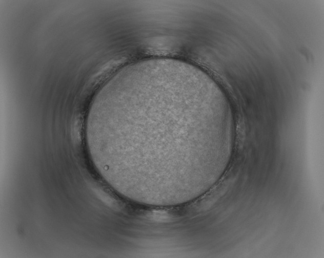 X0000113360114200910061048