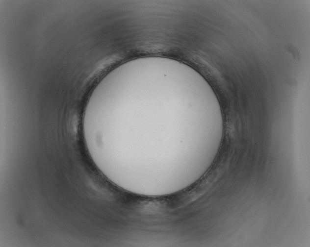 X0000113360115200910061048