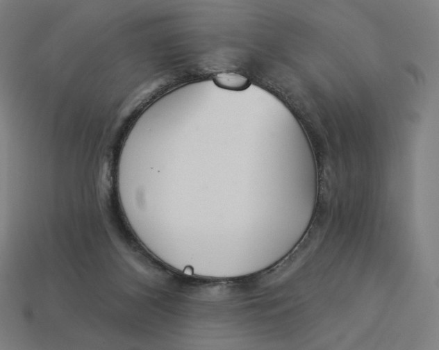 X0000113360116200910061048