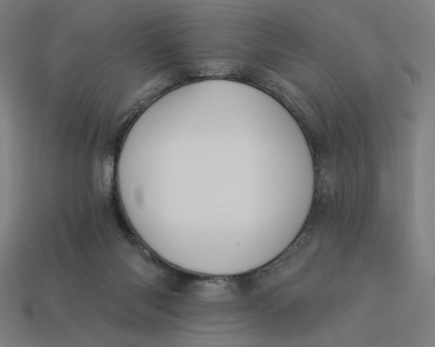 X0000113360118200910061048