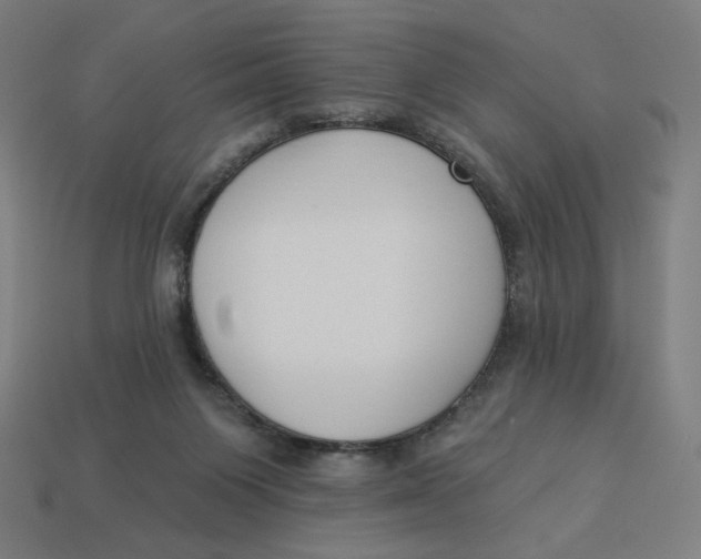 X0000113360119200910061048