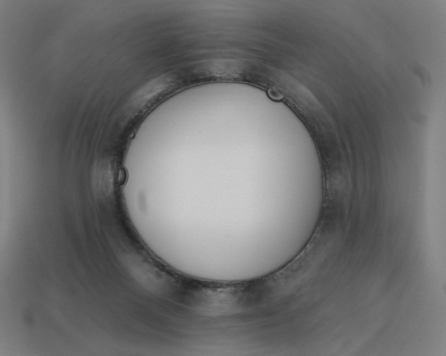 X0000113360120200910061048