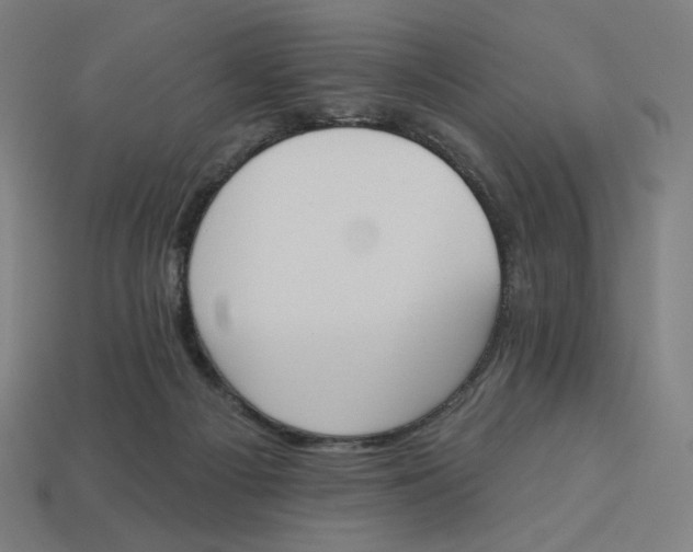 X0000113360121200910061048