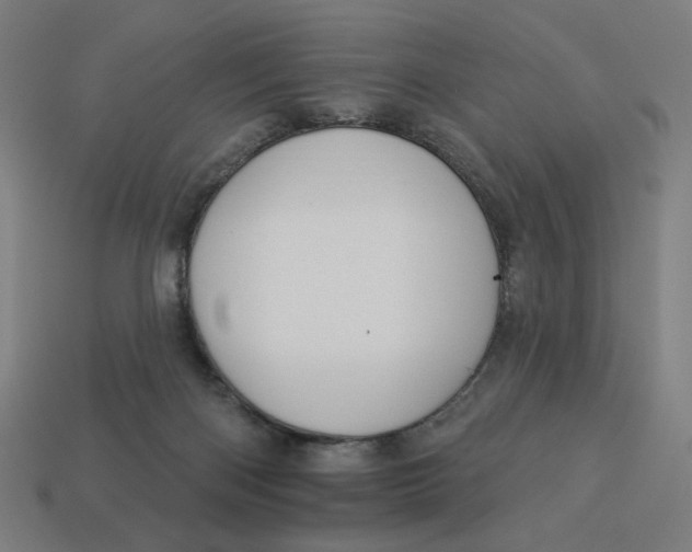 X0000113360122200910061048