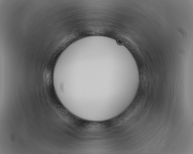 X0000113360123200910061048