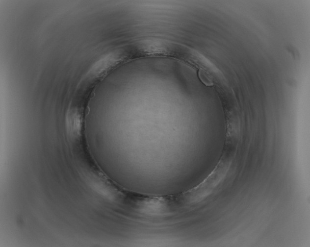 X0000113360124200910061048