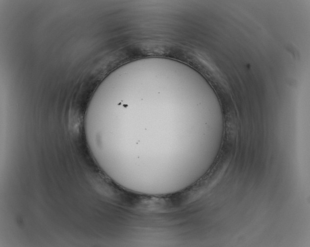 X0000113360125200910061048