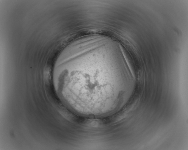 X0000113360127200910061048