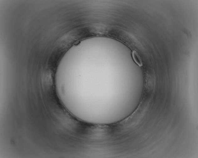 X0000113360128200910061048