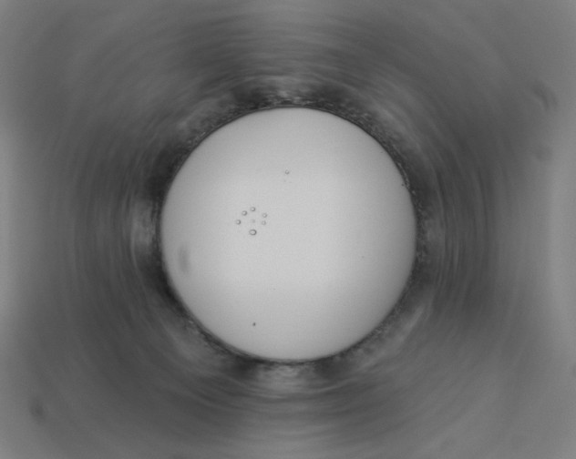 X0000113360129200910061048