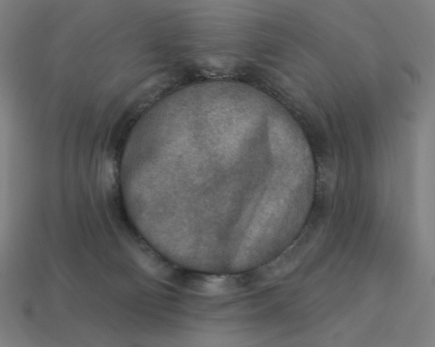 X0000113360130200910061048