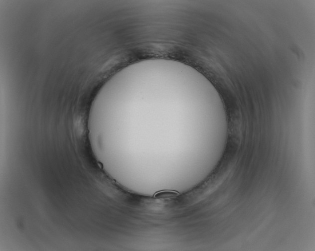 X0000113360131200910061048