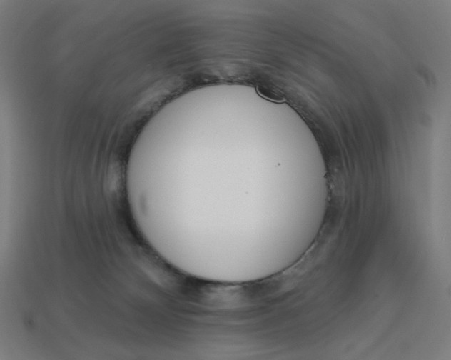 X0000113360132200910061048