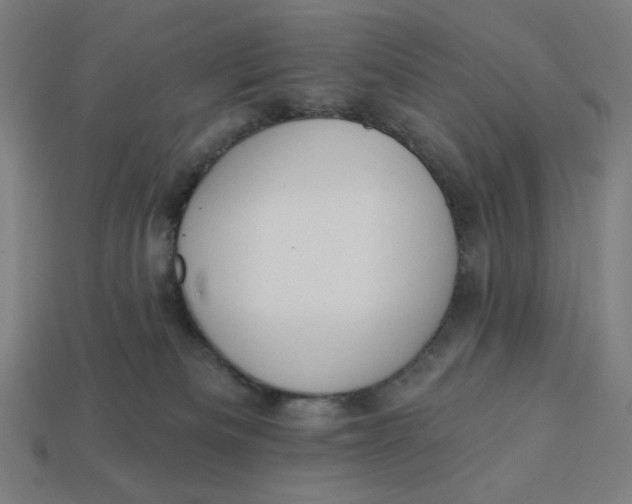 X0000113360133200910061048