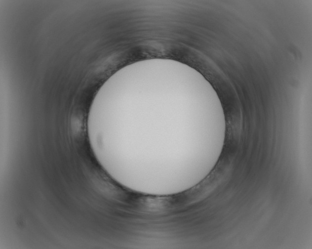 X0000113360134200910061048