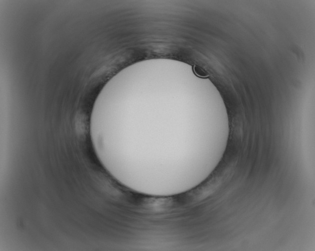 X0000113360135200910061048