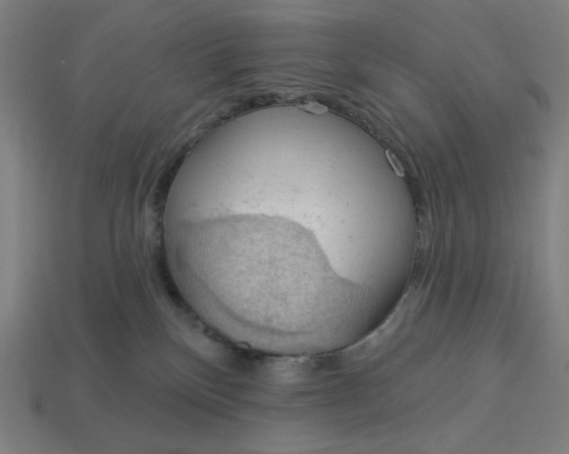 X0000113360136200910061048