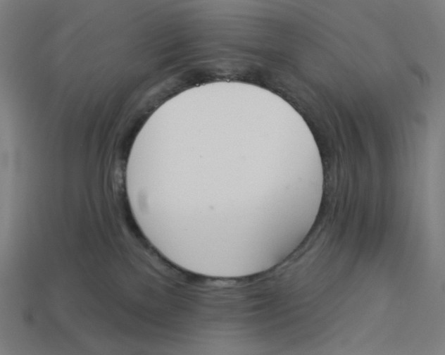 X0000113360137200910061048