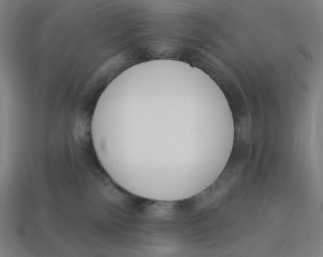 X0000113360138200910061047