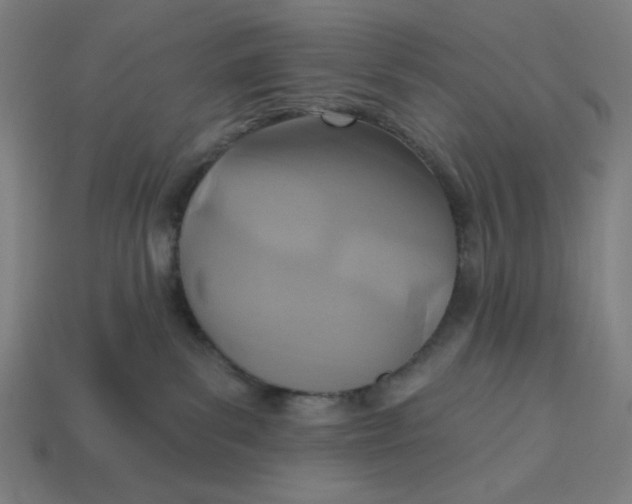 X0000113360139200910061047