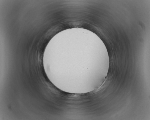 X0000113360140200910061047