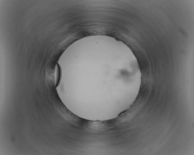 X0000113360141200910061047