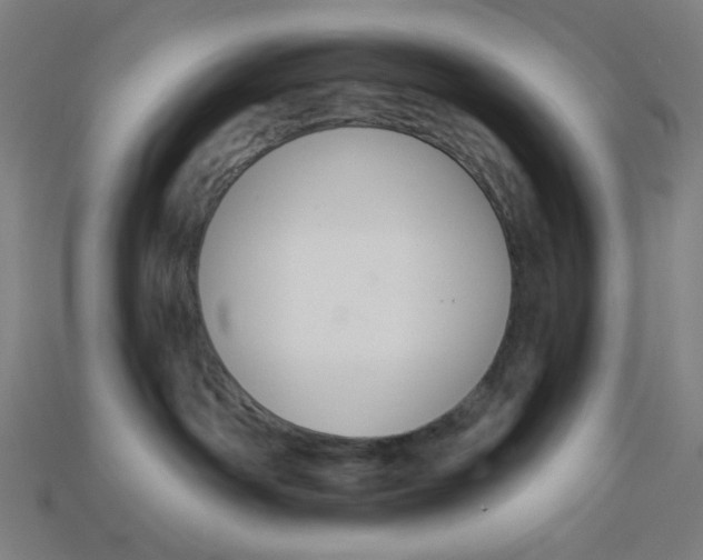 X0000113360142200910061047