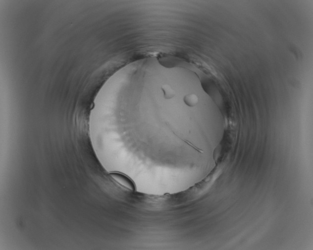 X0000113360143200910061047