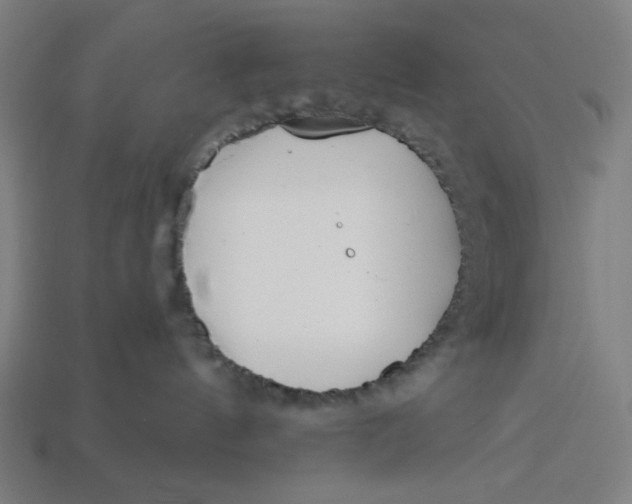 X0000113360144200910061047