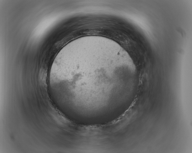 X0000113360146200910061047