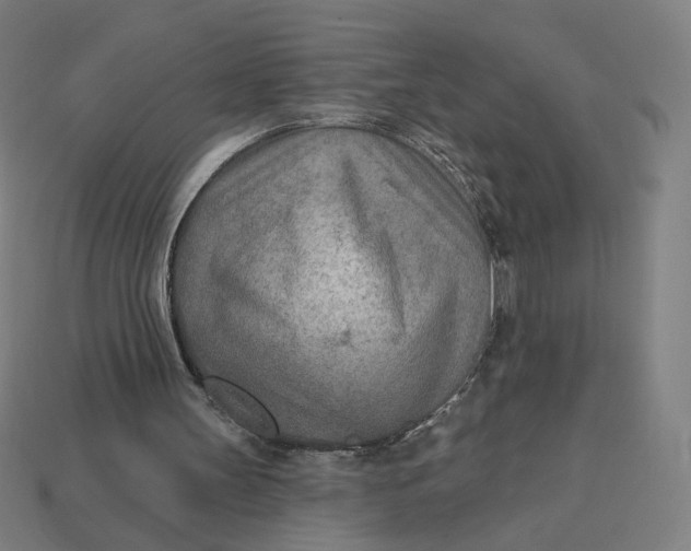 X0000113360147200910061047