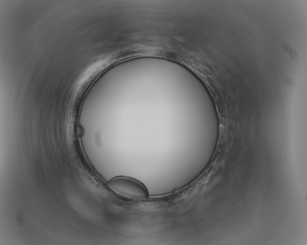 X0000113360149200910061047