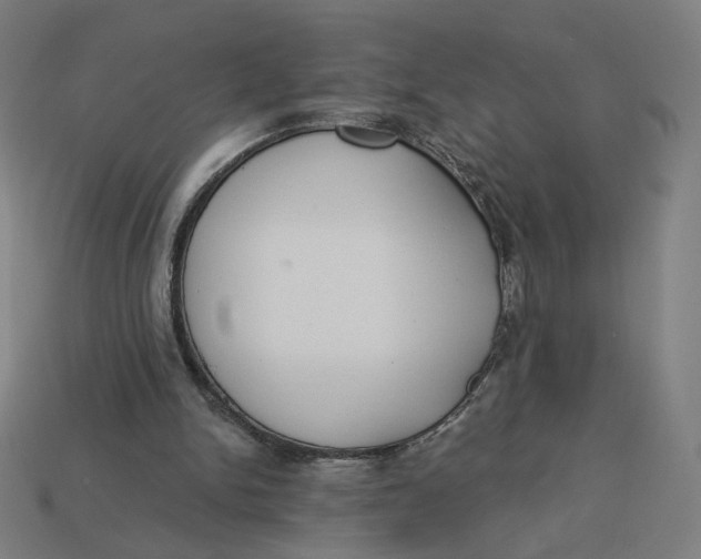 X0000113360150200910061047